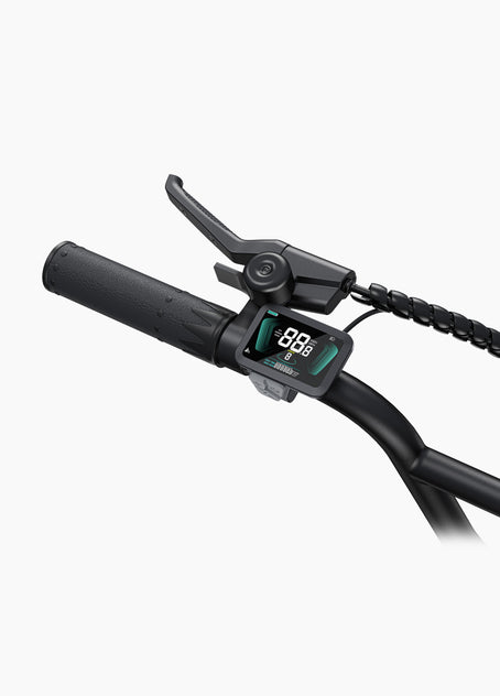 Bicicleta eléctrica L20 Boost Step-Thru