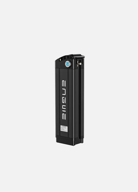 Batterie 16Ah pour L20