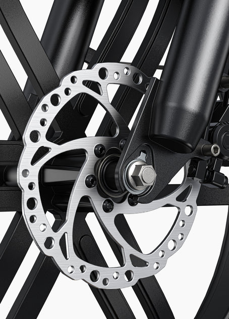 Bicicleta eléctrica L20 Boost Step-Thru