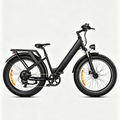 Onyxschwarz-ENGWE E26 Elektrofahrrad