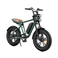 Green-M20 Motorcycle-styled Electric Bike